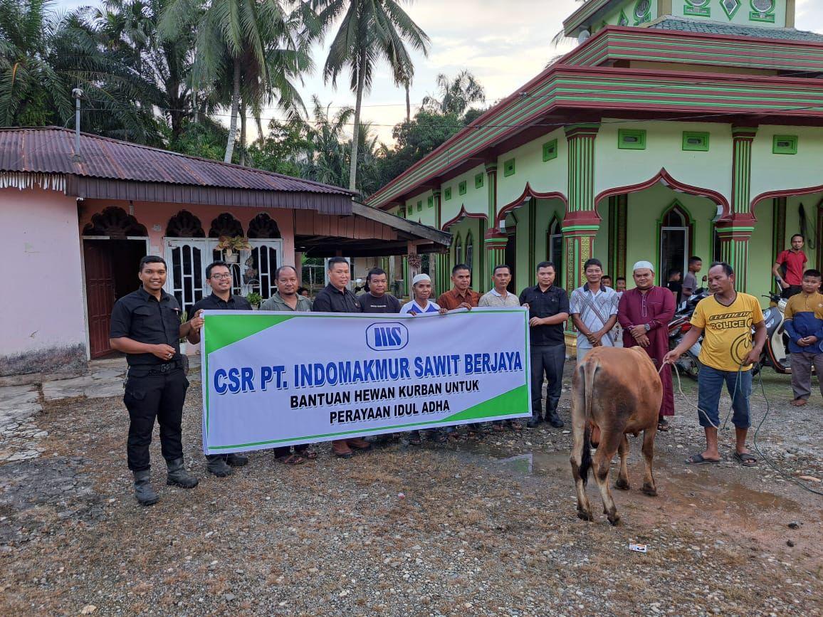 Menejer PT ISB Bambang serahkan dua ekor sapi kurban kepada masyarakat yang diterima langsung Kades Rambah Adi Saputra