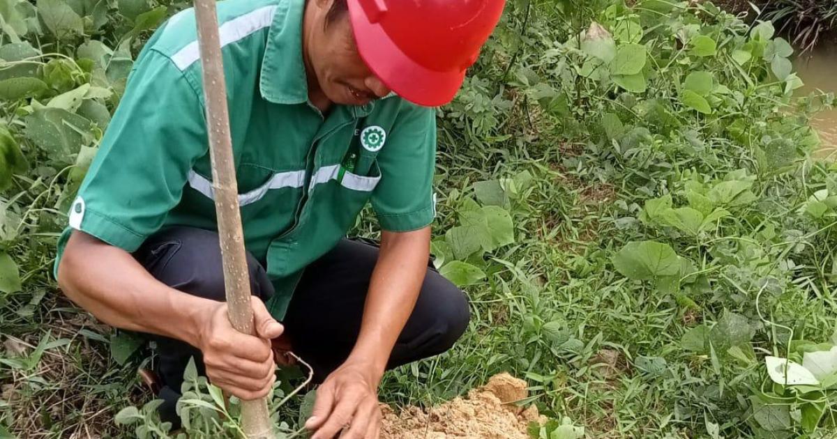 Kegiatan reboisasi di sempadan Sungai Manding