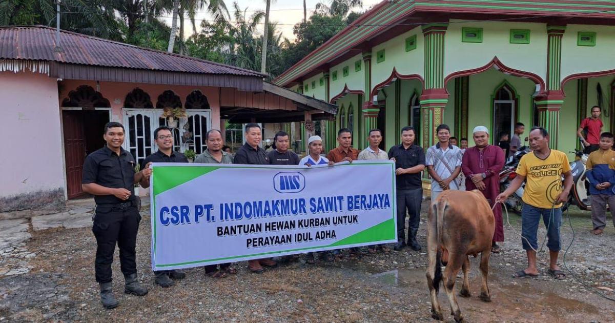 Menejer PT ISB Bambang serahkan dua ekor sapi kurban kepada masyarakat yang diterima langsung Kades Rambah Adi Saputra